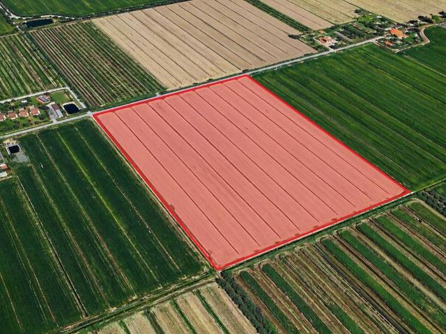 Terreno in vendita a Grosseto GR