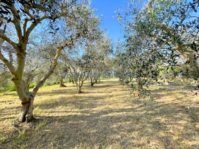 Terreno in vendita a Grosseto GR