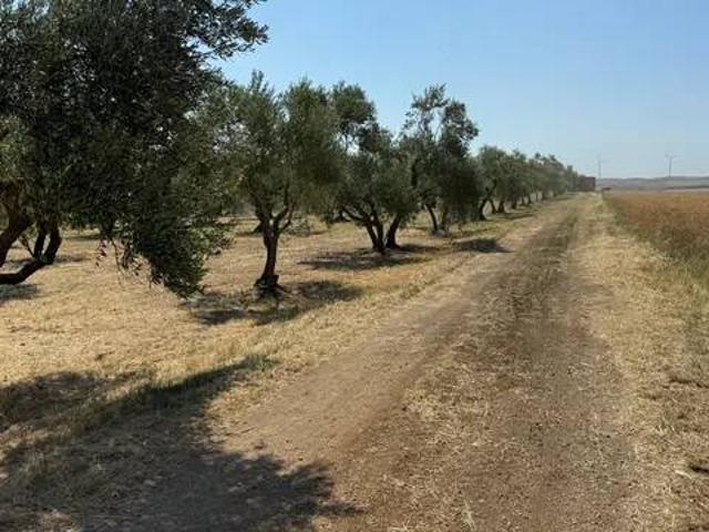 Terreno in vendita a Gravina in Puglia BA
