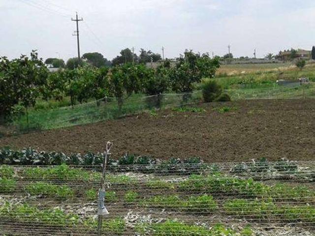 Terreno in vendita a Gravina in Puglia BA