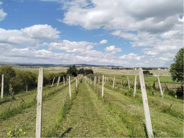 Terreno in vendita a Gravina in Puglia BA