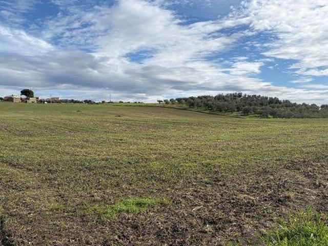 Terreno in vendita a Gravina in Puglia BA