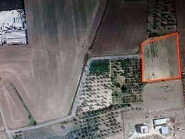 Terreno in vendita a Gravina in Puglia BA