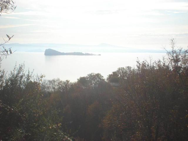 Terreno in vendita a Gradoli VT