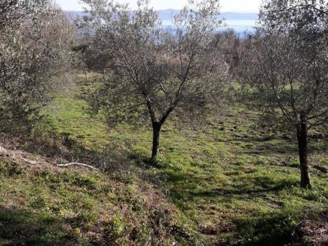 Terreno in vendita a Gradoli VT