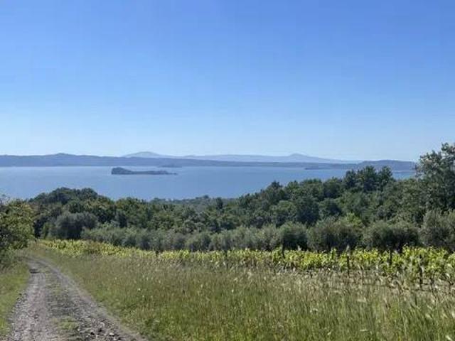 Terreno in vendita a Gradoli VT