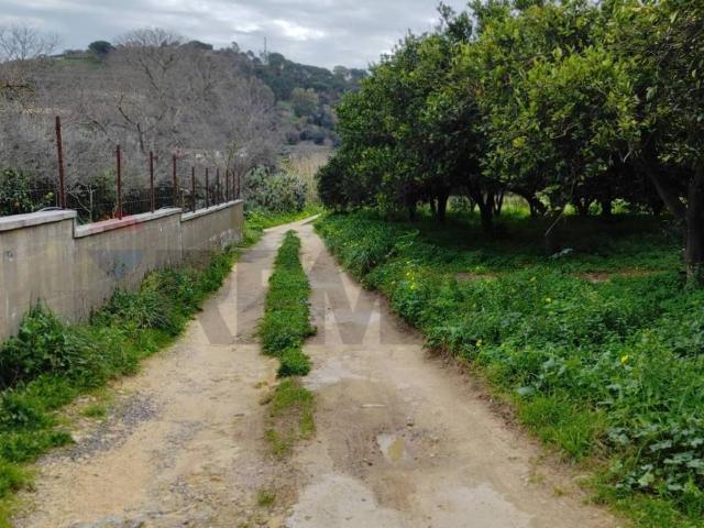 Terreno in vendita a Grammichele CT