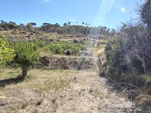 Terreno in vendita a Grammichele CT