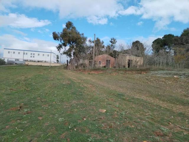 Terreno in vendita a Grammichele CT