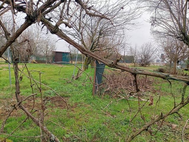 Terreno in vendita a Grezzago MI