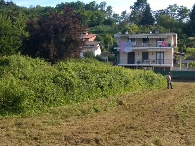 Terreno in vendita a Grignasco NO