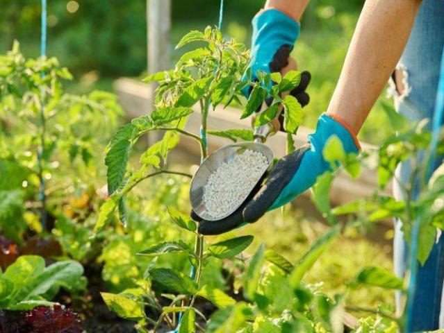Terreno in vendita a Grisignano di Zocco VI