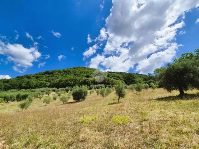 Terreno in vendita a Gubbio PG