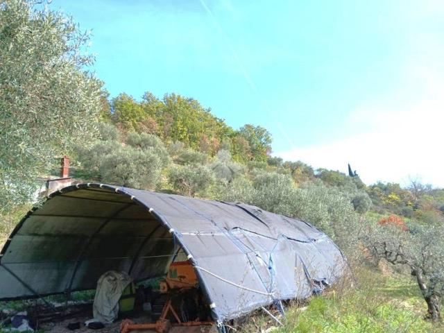 Terreno in vendita a Gubbio PG