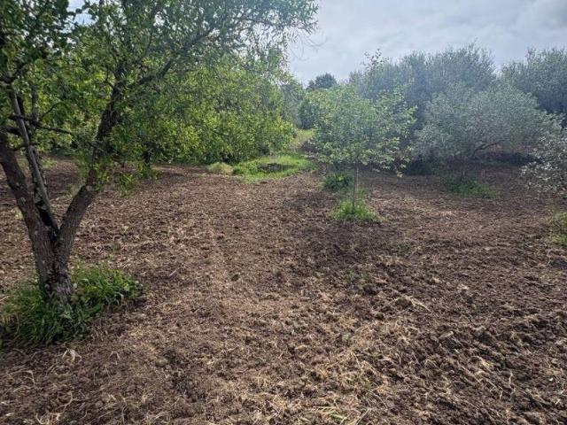 Terreno in vendita a Guidonia Montecelio RM