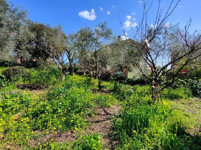 Terreno in vendita a Iglesias SU