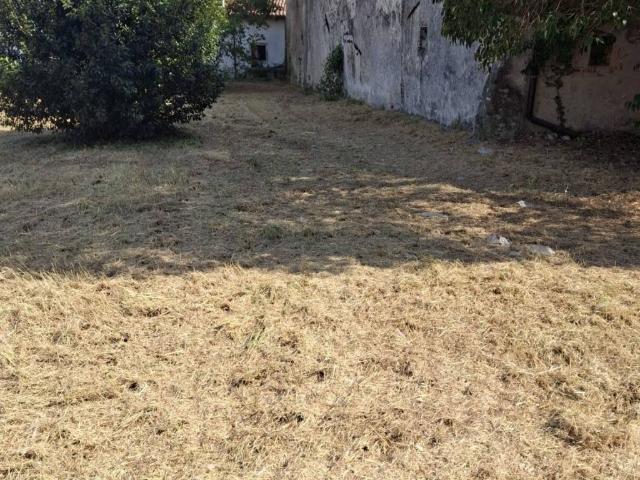 Terreno in vendita a Illasi VR