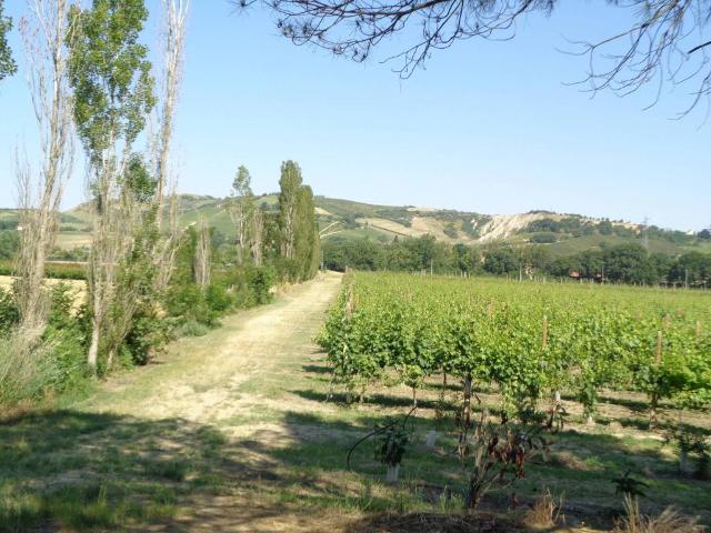 Terreno in vendita a Imola BO