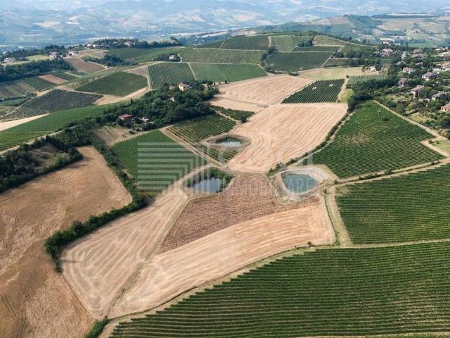 Terreno in vendita a Imola BO
