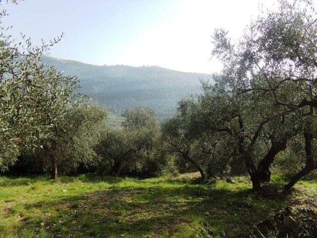 Terreno in vendita a Imperia IM