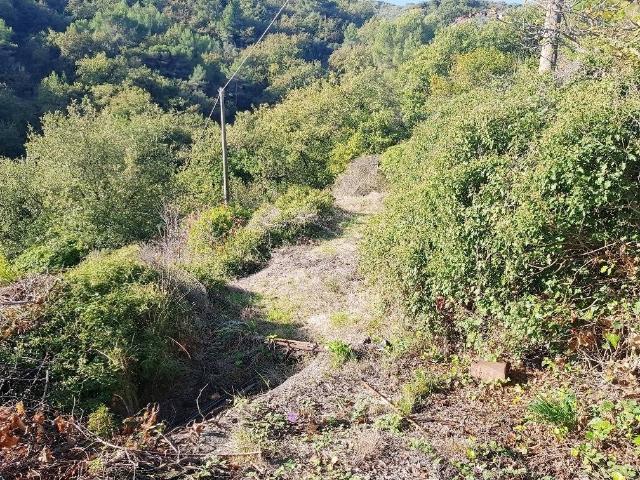 Terreno in vendita a Imperia IM