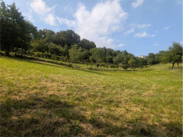 Terreno in vendita a Isola Vicentina VI