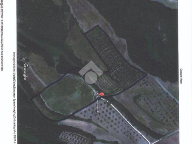 Terreno in vendita a Ischia di Castro VT