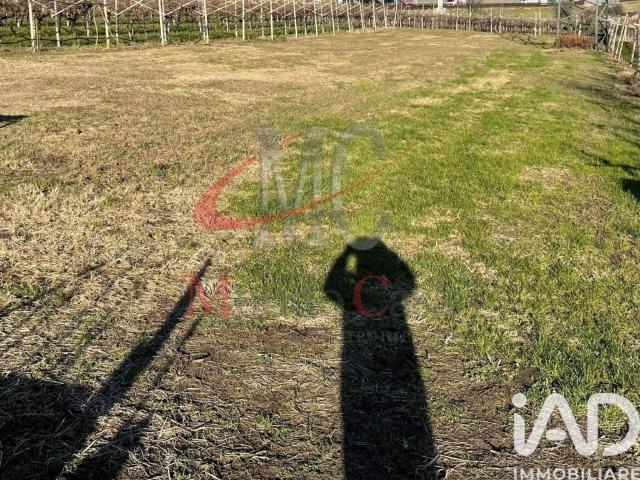 Terreno in vendita a Isera TN
