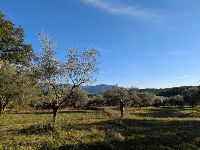 Terreno in vendita a Isernia IS