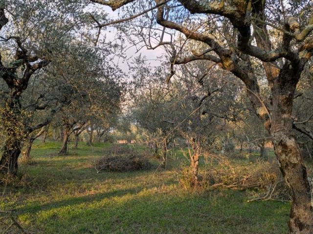 Terreno in vendita a Isernia IS
