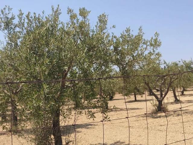 Terreno in vendita a Ispica RG