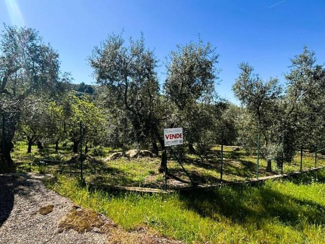 Terreno in vendita a Itri LT