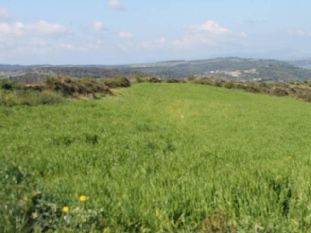 Terreno in vendita a Ittiri SS