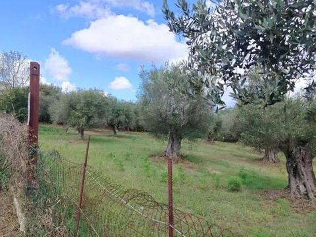 Terreno in vendita a Jonadi VV