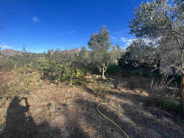 Terreno in vendita a La Maddalena SS