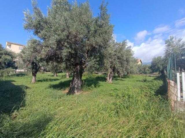 Terreno in vendita a Lamezia Terme CZ