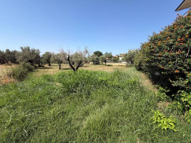 Terreno in vendita a Lamezia Terme CZ