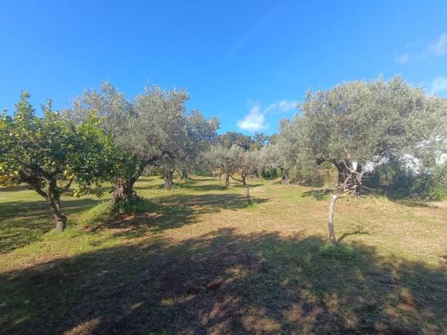 Terreno in vendita a Lamezia Terme CZ