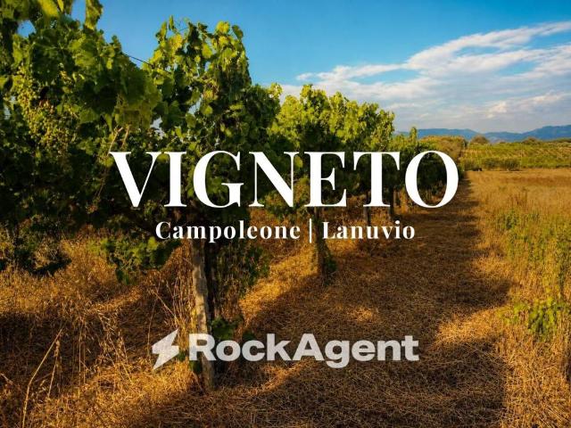 Terreno in vendita a Lanuvio RM