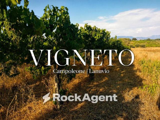 Terreno in vendita a Lanuvio RM