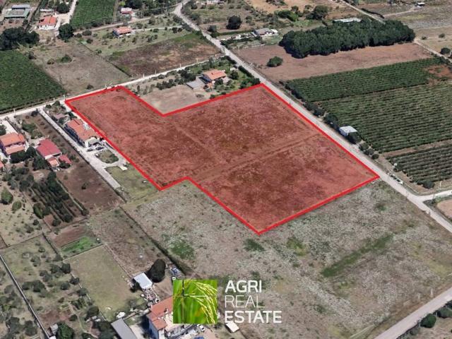 Terreno in vendita a Lanuvio RM