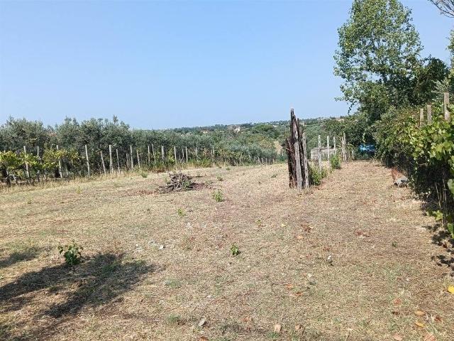 Terreno in vendita a Lanuvio RM