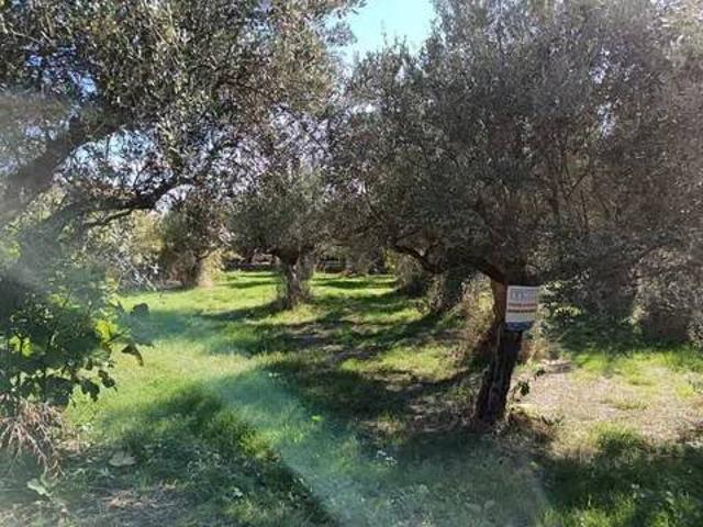 Terreno in vendita a Lanciano CH