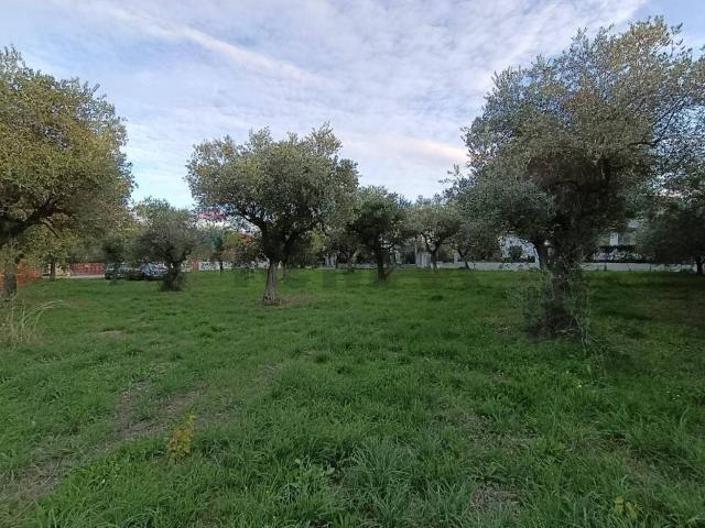 Terreno in vendita a Lanciano CH