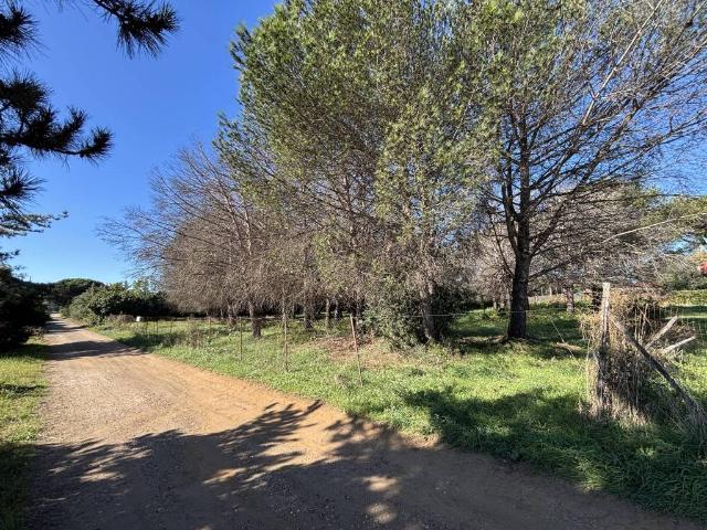 Terreno in vendita a Ladispoli RM