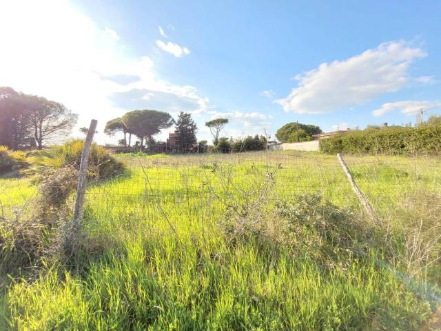 Terreno in vendita a Ladispoli RM