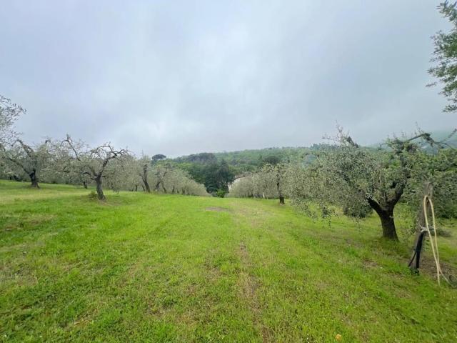 Terreno in vendita a Lastra a Signa FI