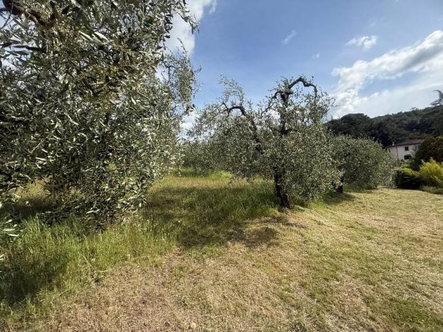 Terreno in vendita a Lastra a Signa FI
