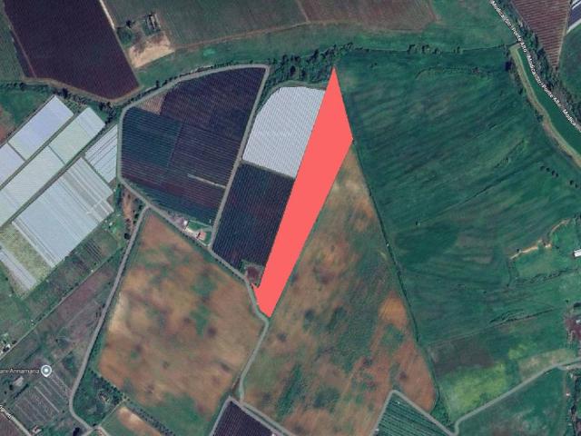Terreno in vendita a Latina LT