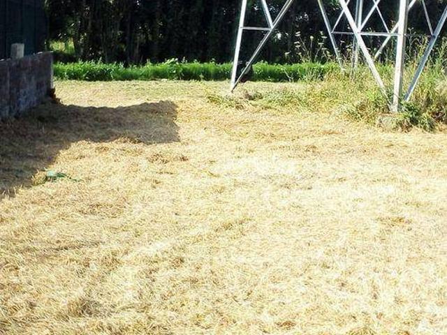 Terreno in vendita a Latina LT